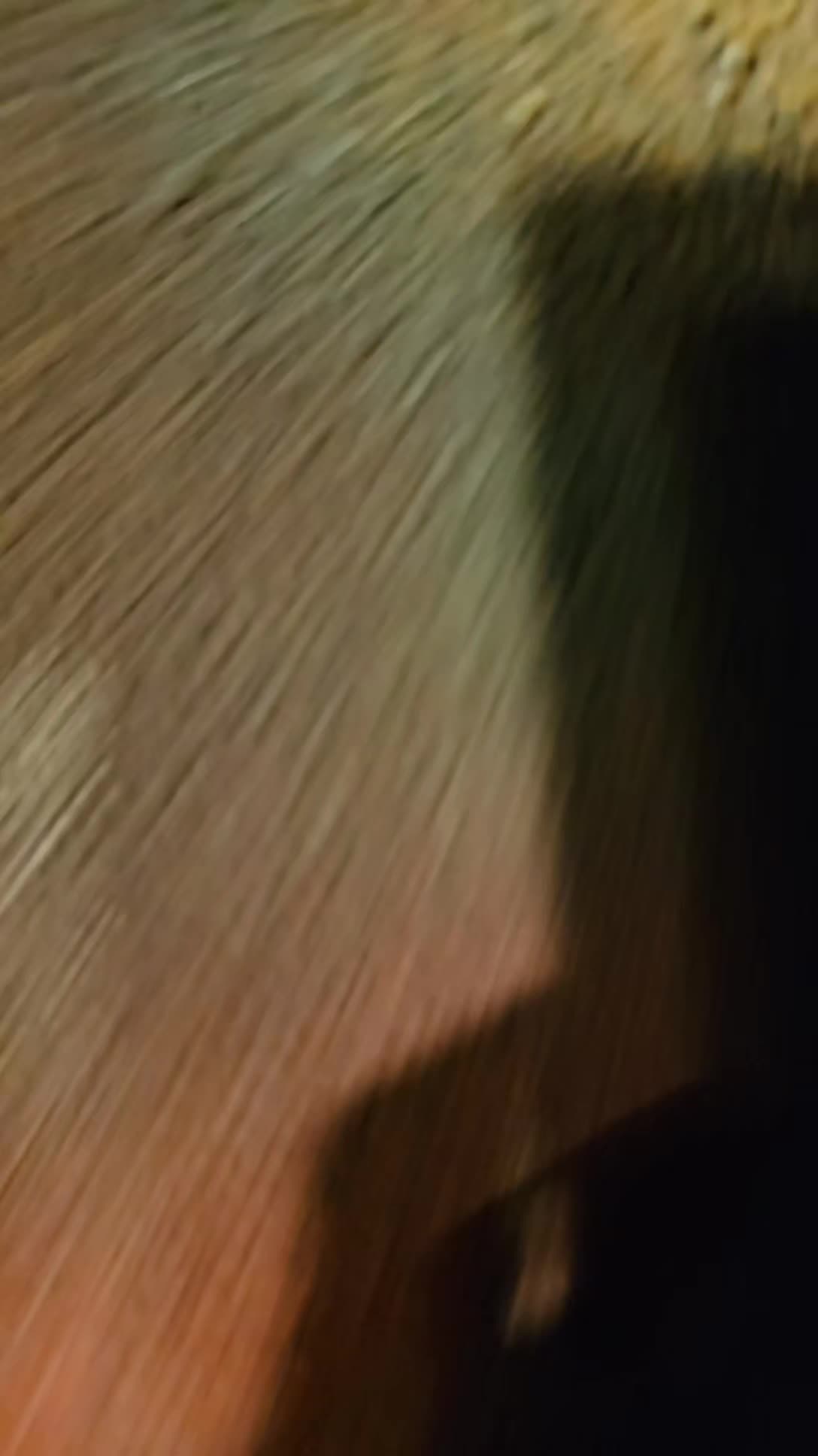 @ctrfabian