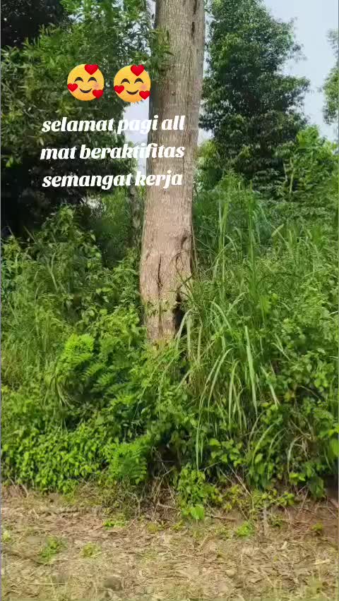 @Asihasih