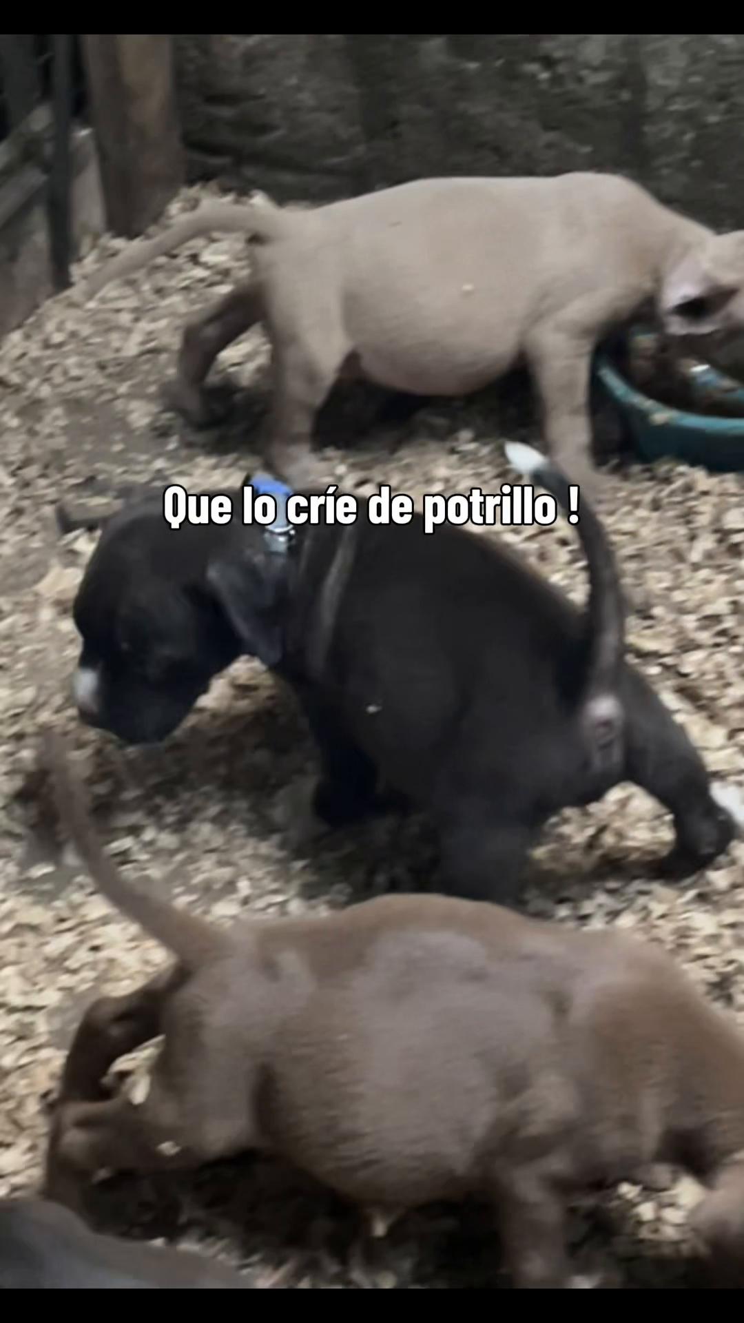 @Luisfer 🕷️