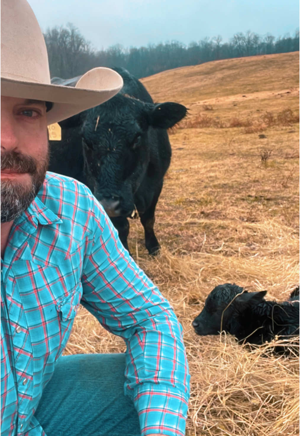 @HFFcattleman