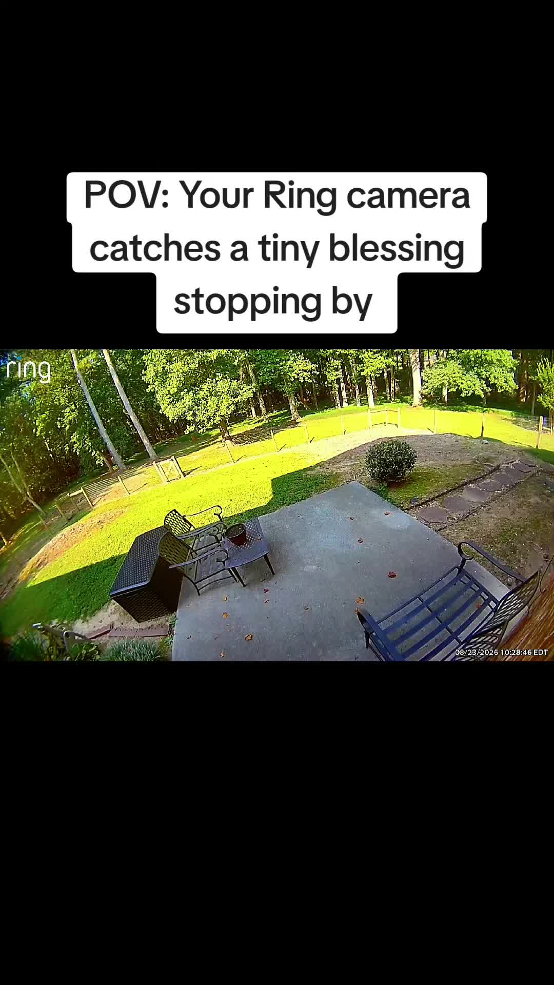 @Tasha