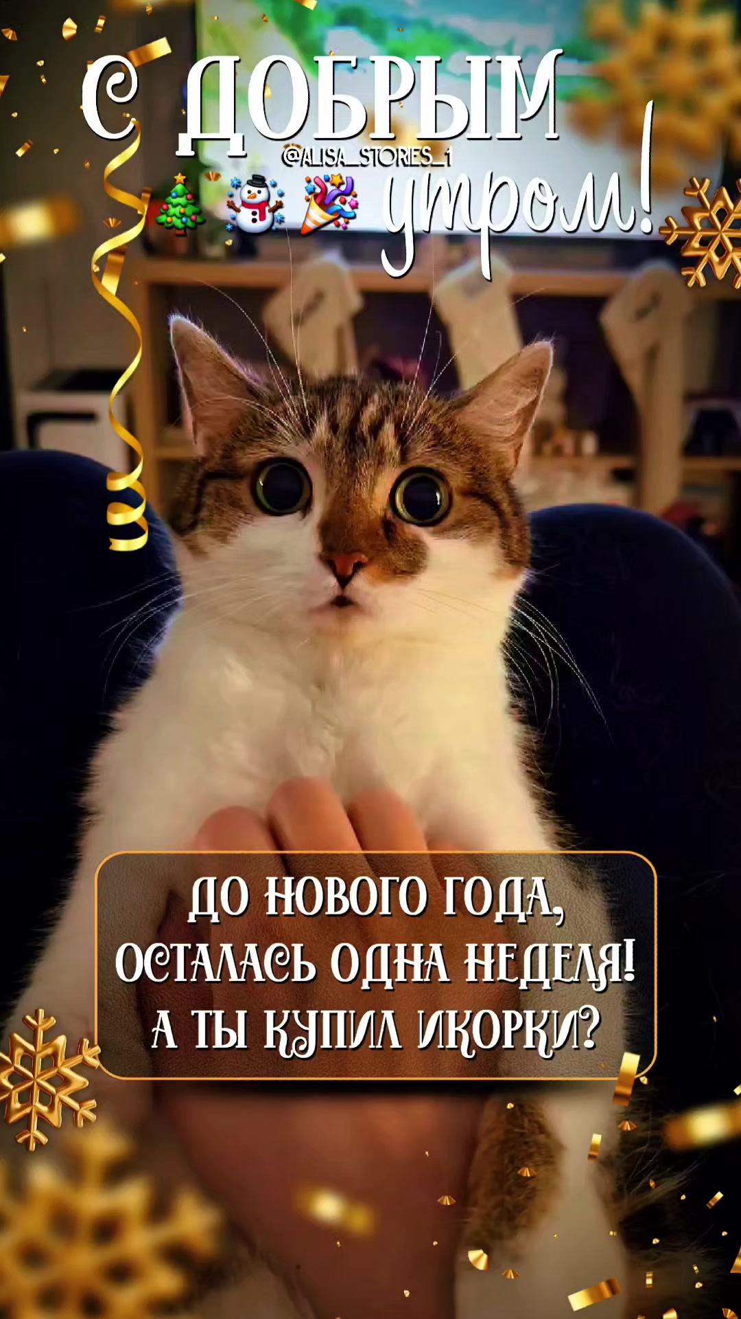 @TГК:alisa_ stories_1
