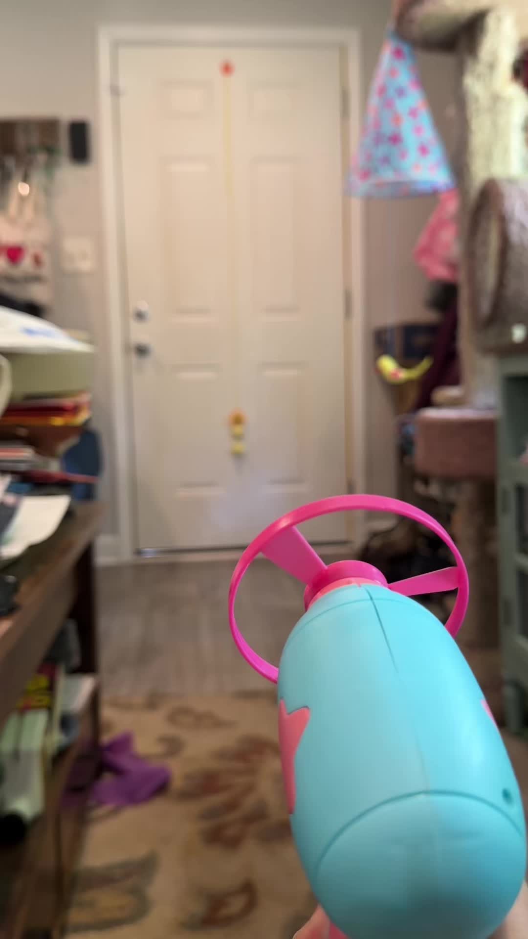 @Chaos and Cats