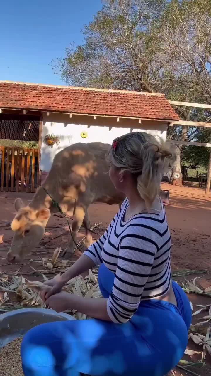 @maria