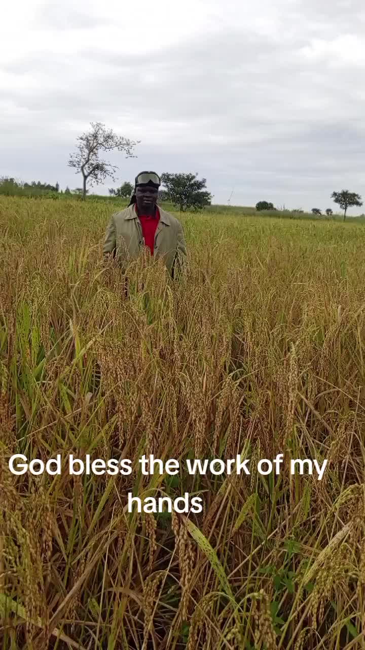 @APOSTLE NORBERT MAO