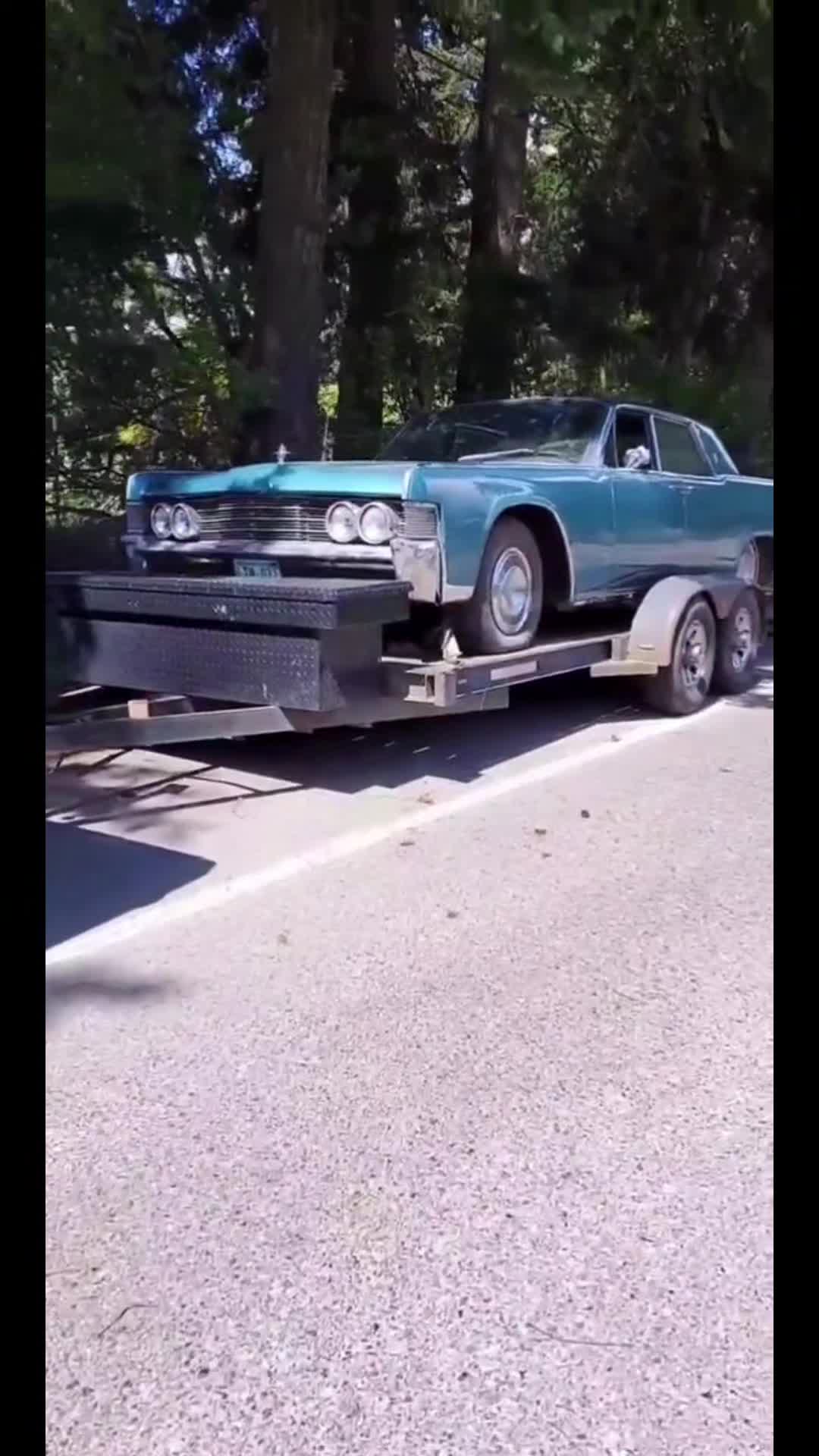 @Lady_downshift