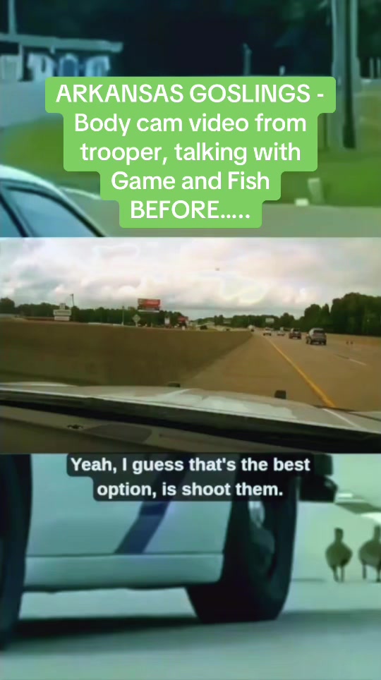 @TheRealPaulMueller