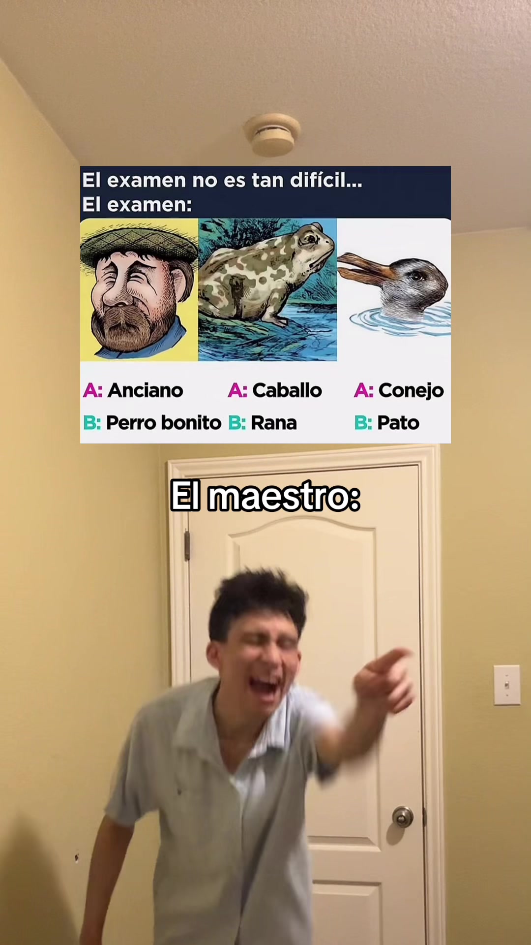 @guillermito