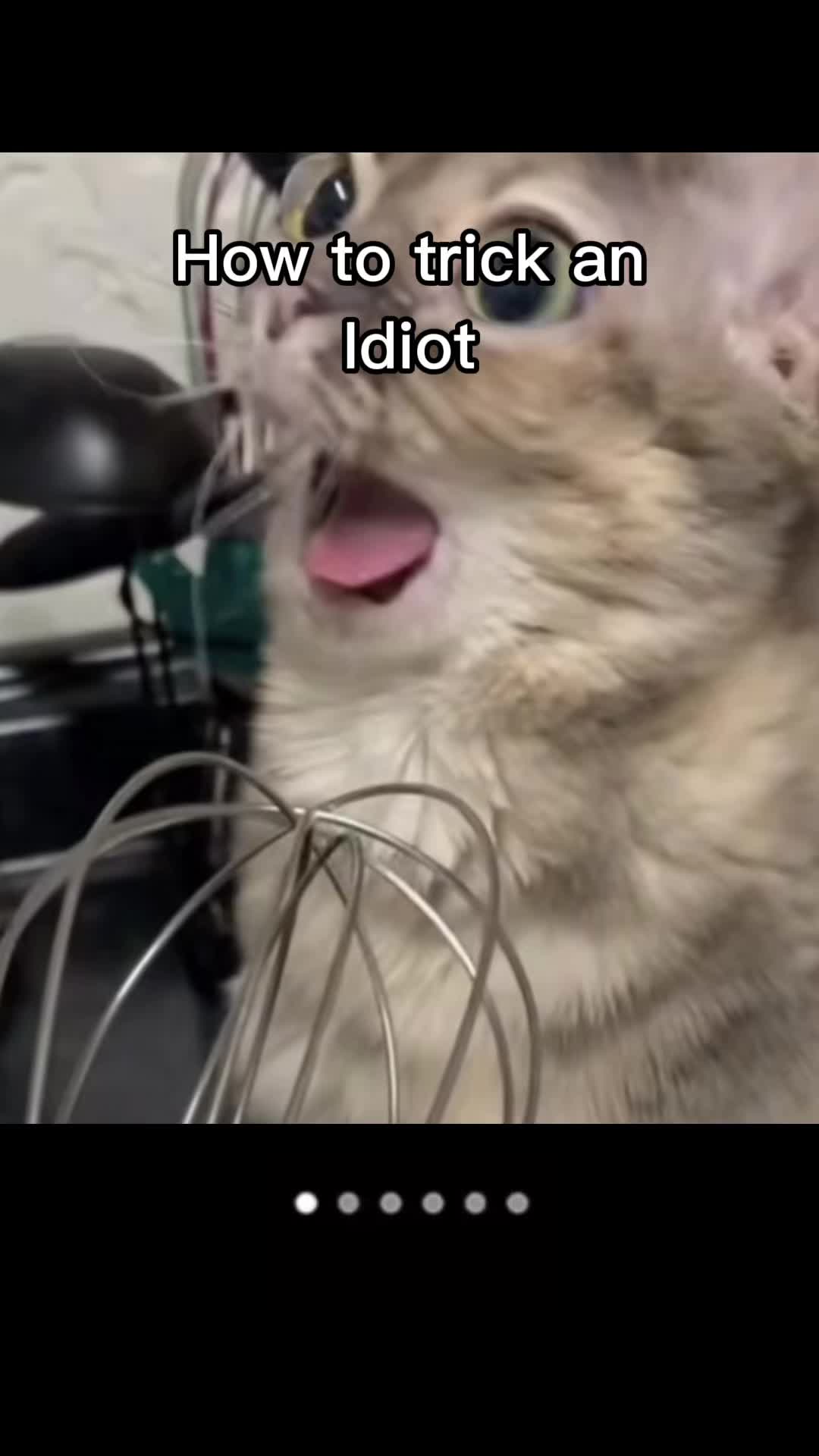 @Moonbread