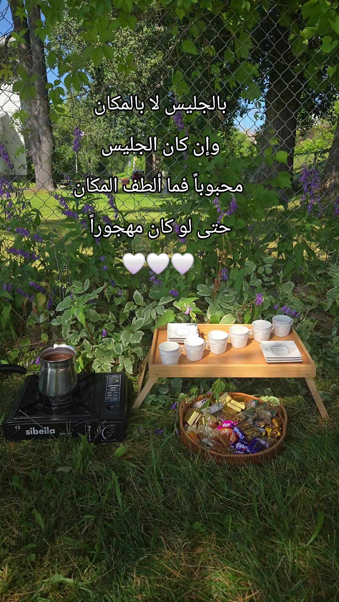 @Nour🌺🌸