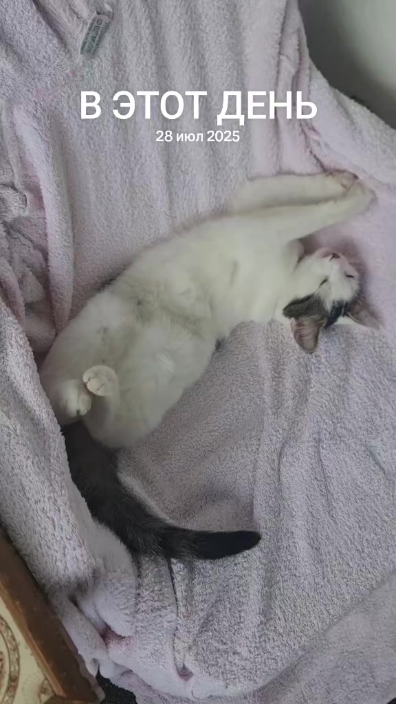 @😛Катюша😛