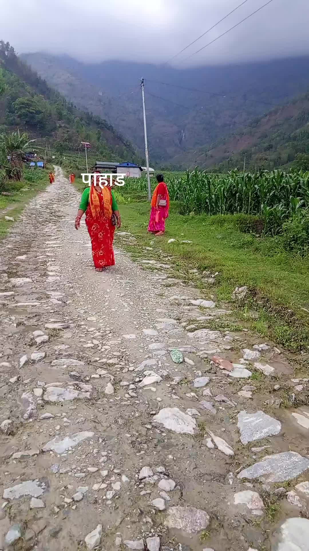 @Bhima Niraula