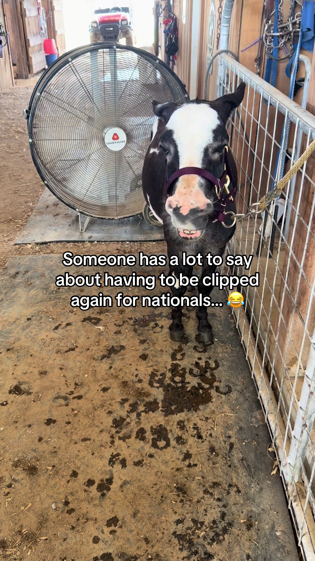 @Southern ASSpitality