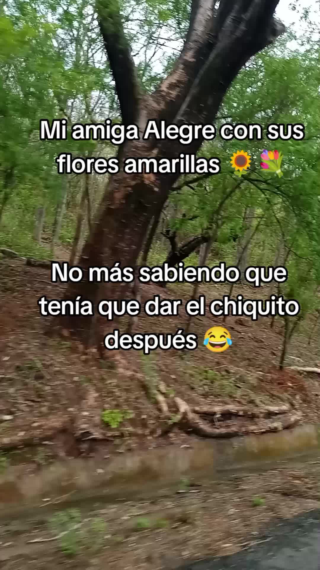 @Sebastián 74