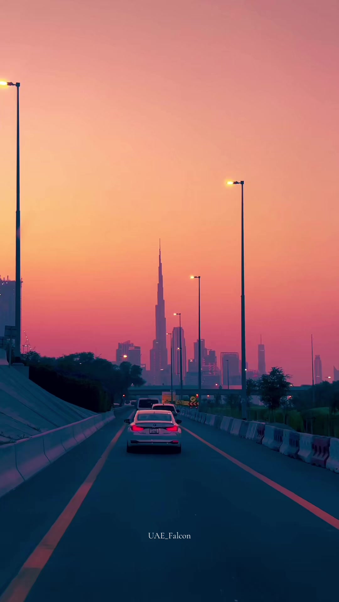 @UAE_Falcon