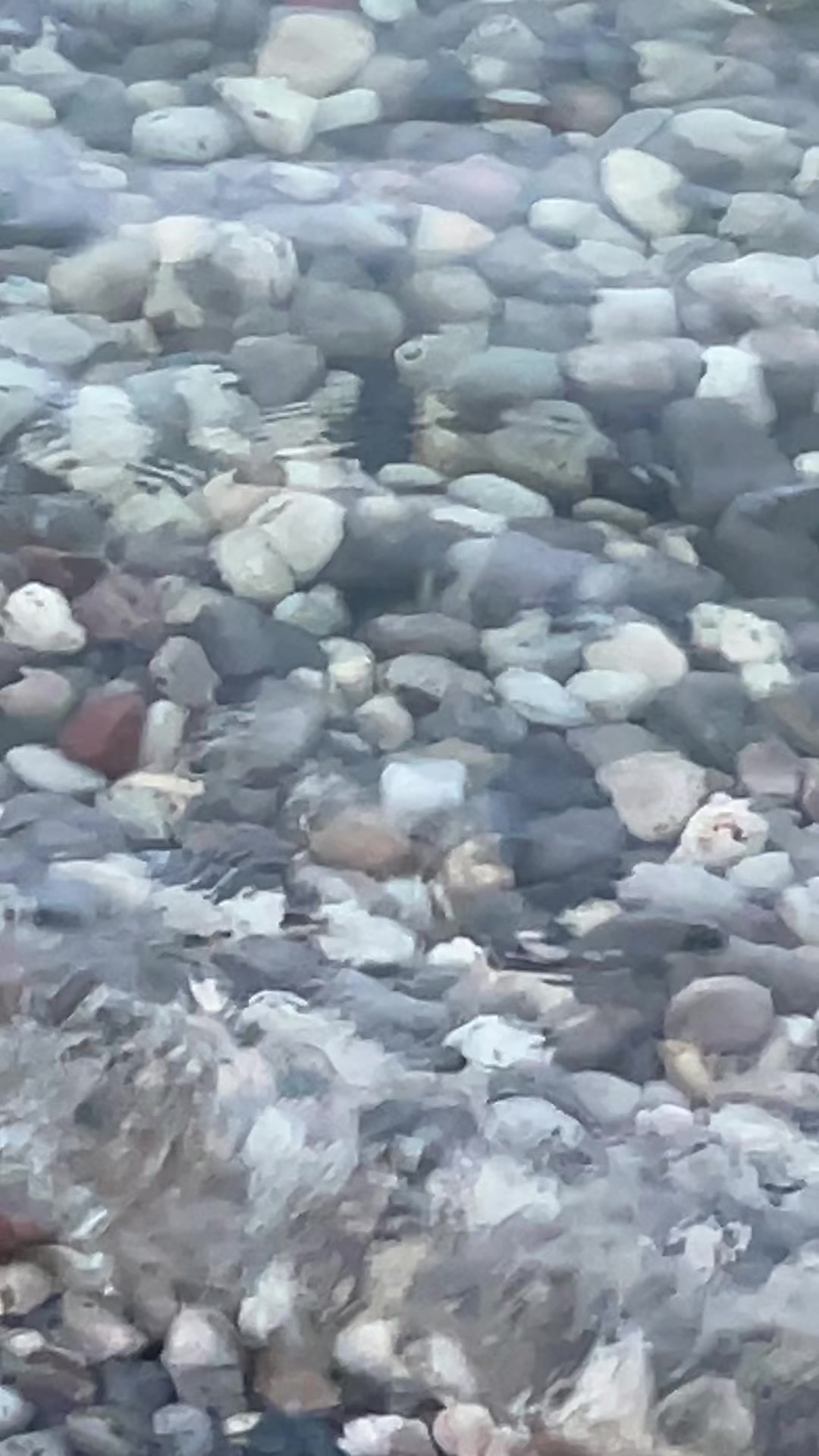 @🇨🇦 Heela هېله🇦🇫
