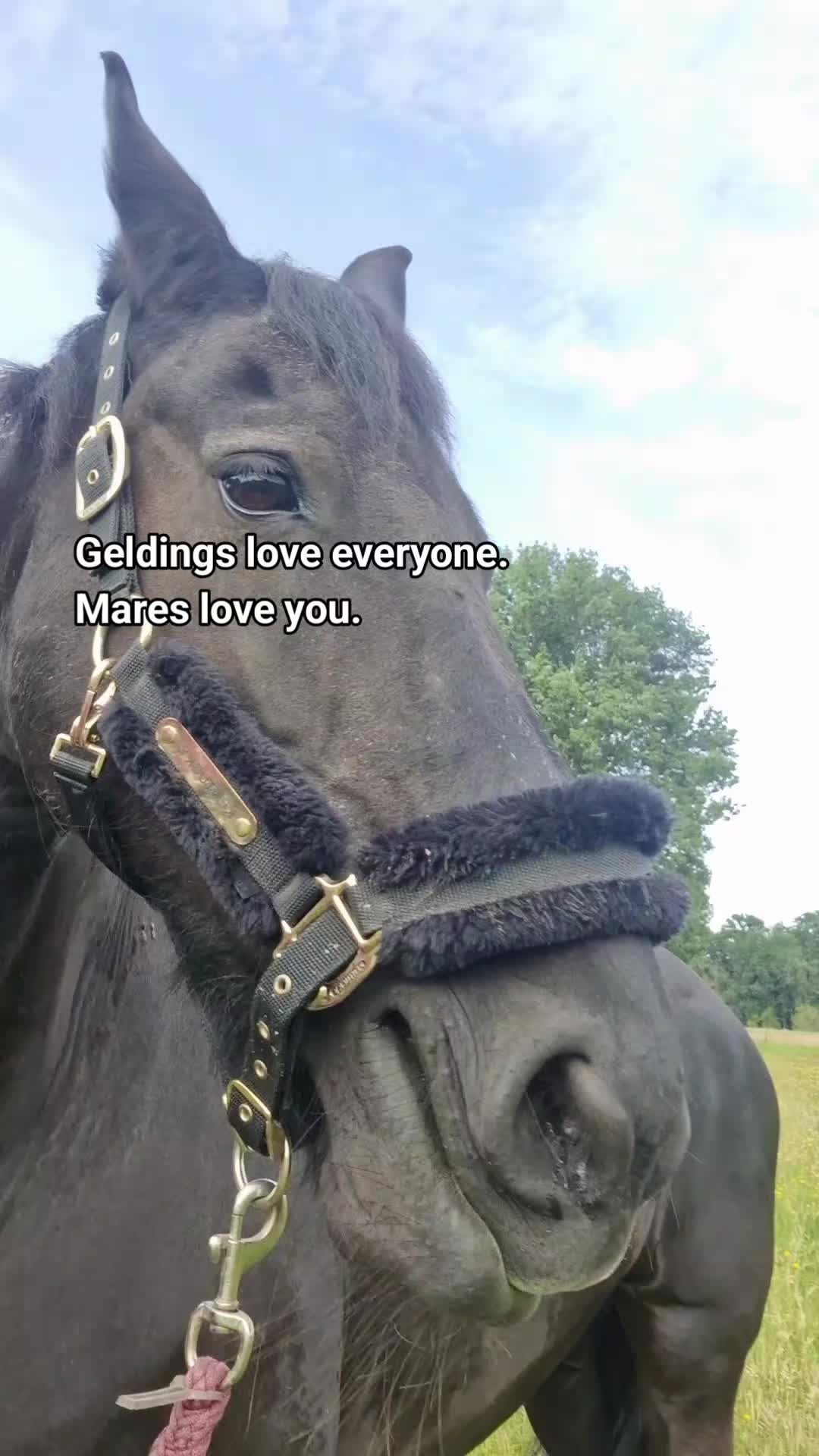 @Soñador