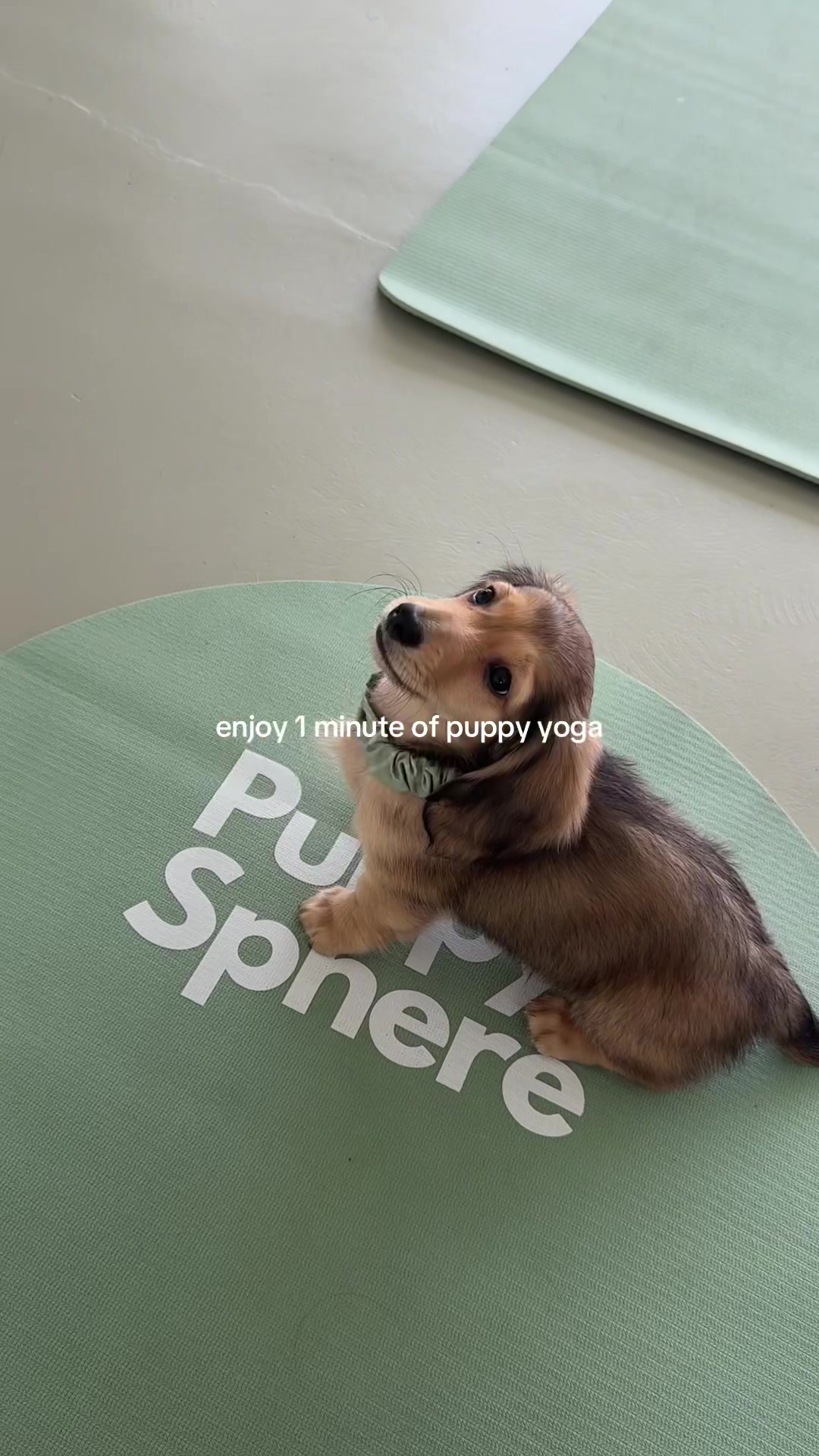 @sophie