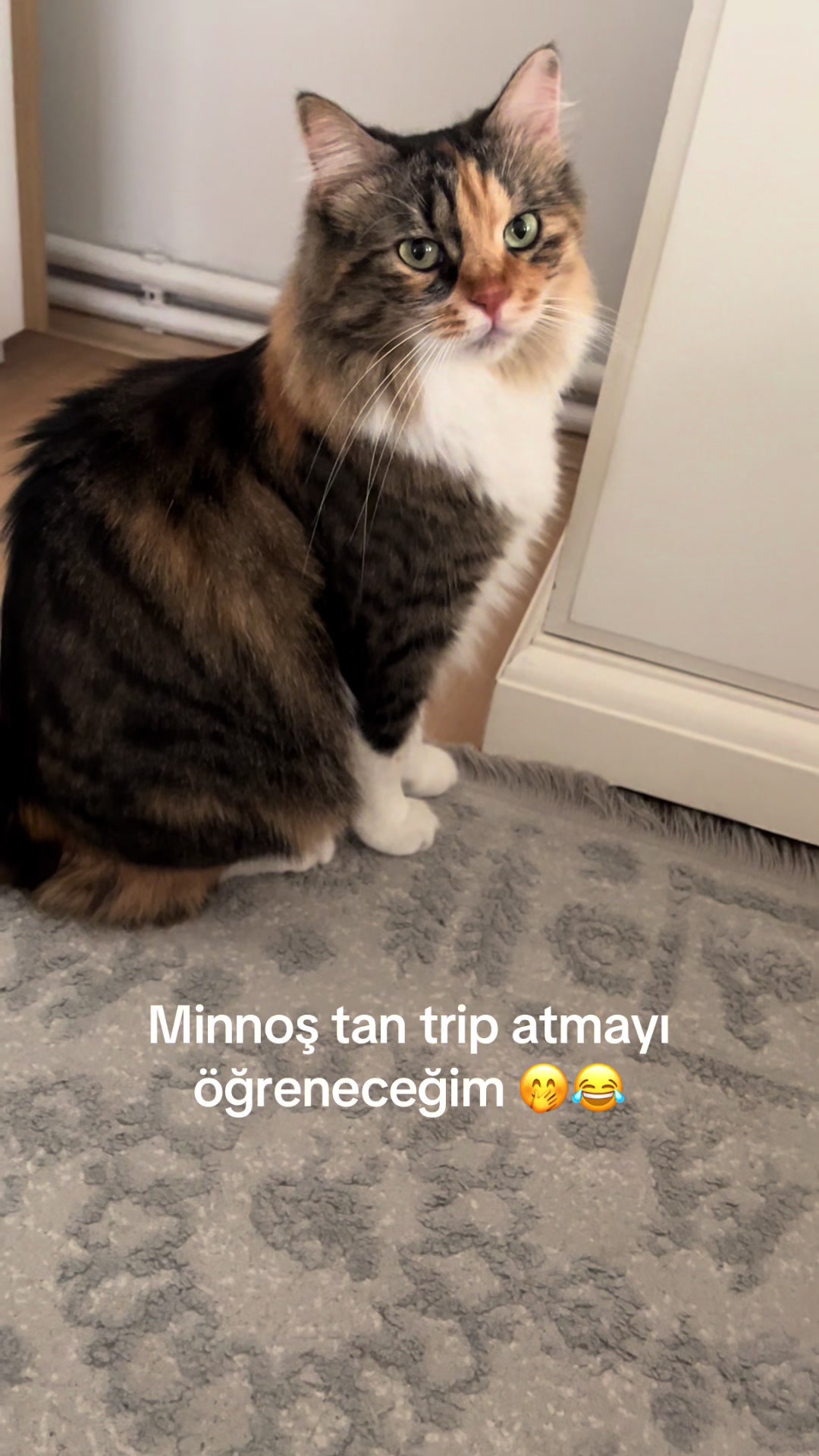 @konusankediminnos