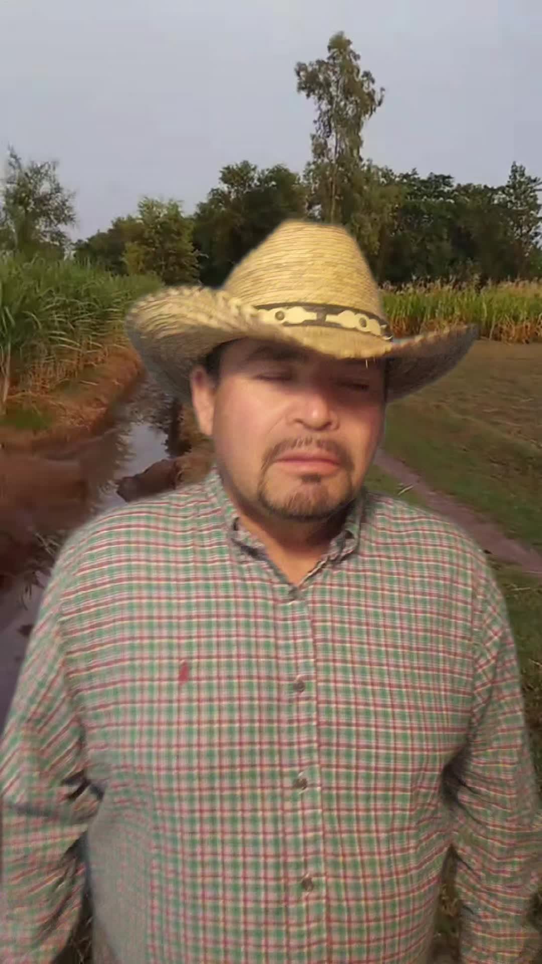 @🇲🇽 MI MORENO🇲🇽🎼🎼🎼