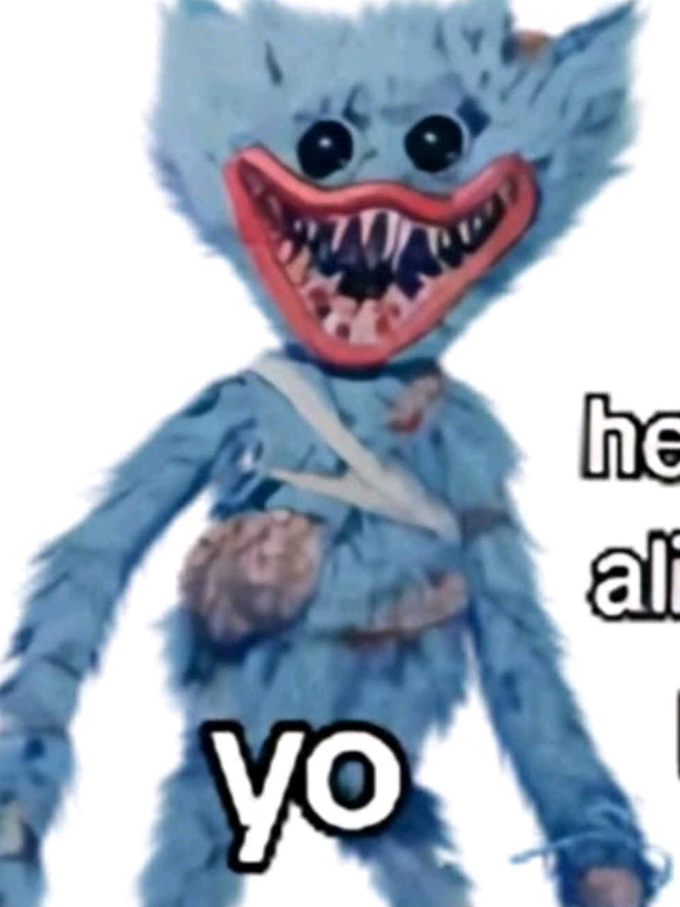 @Findy