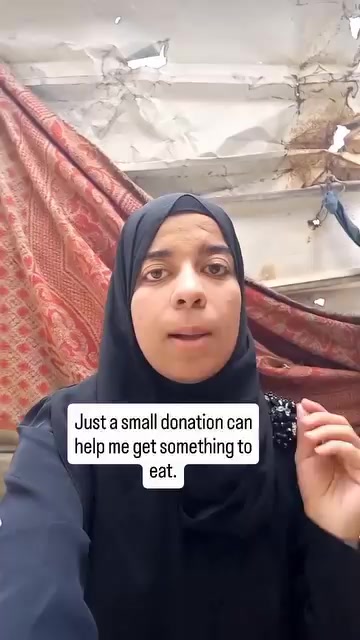 @shoug 🇵🇸