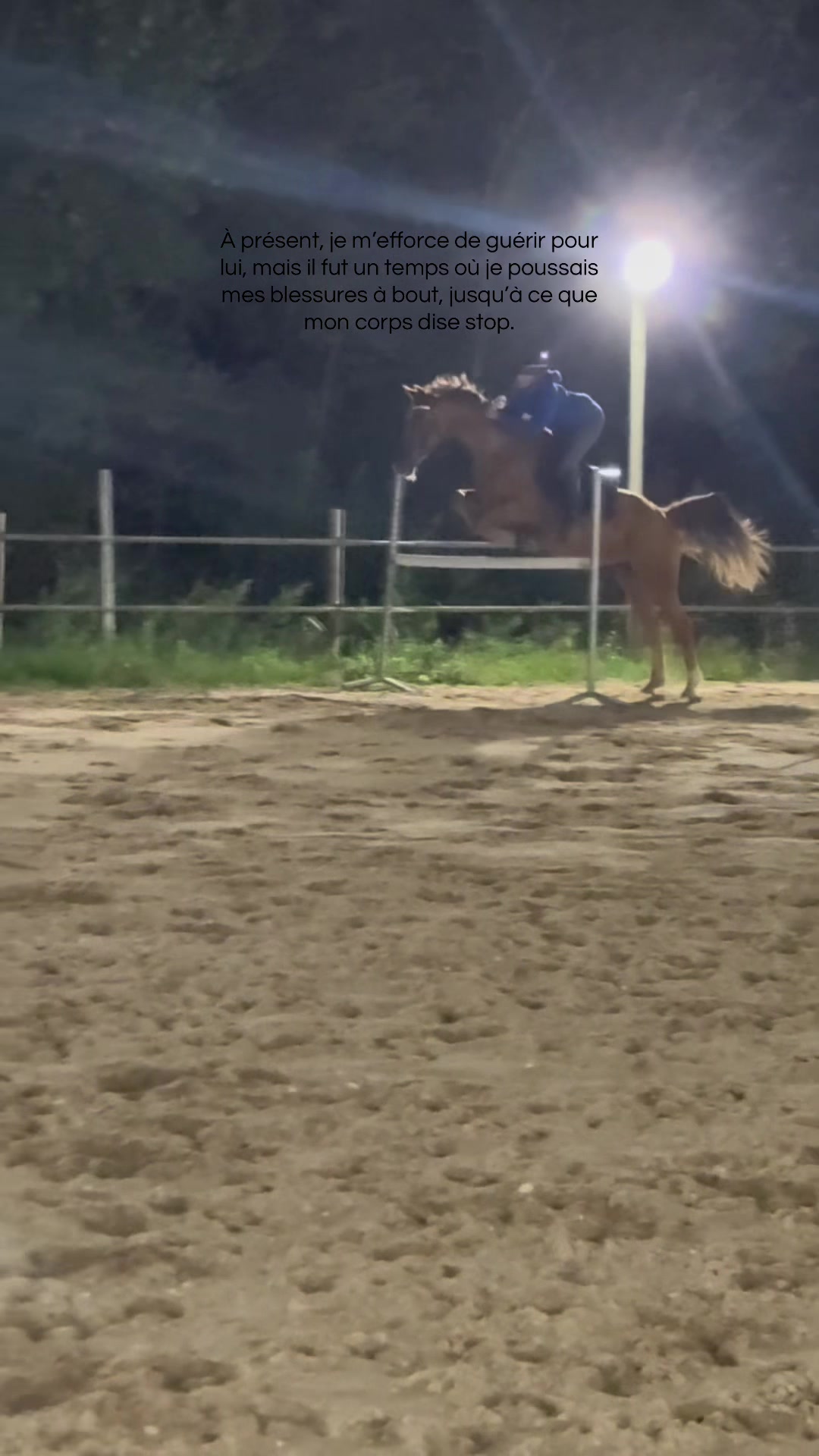 @Le poney qui salut les jurys✨