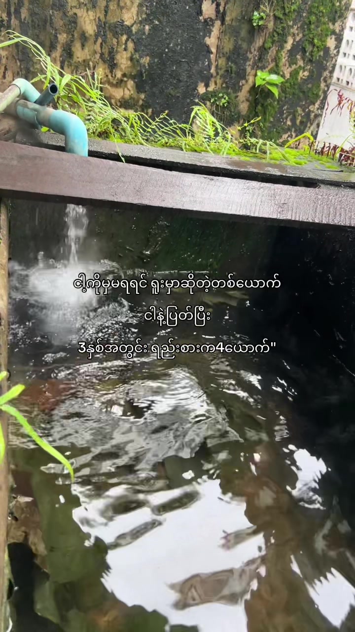 @๐๐ข๐ซ๐ (แแฎแแฌ)๐ฅ