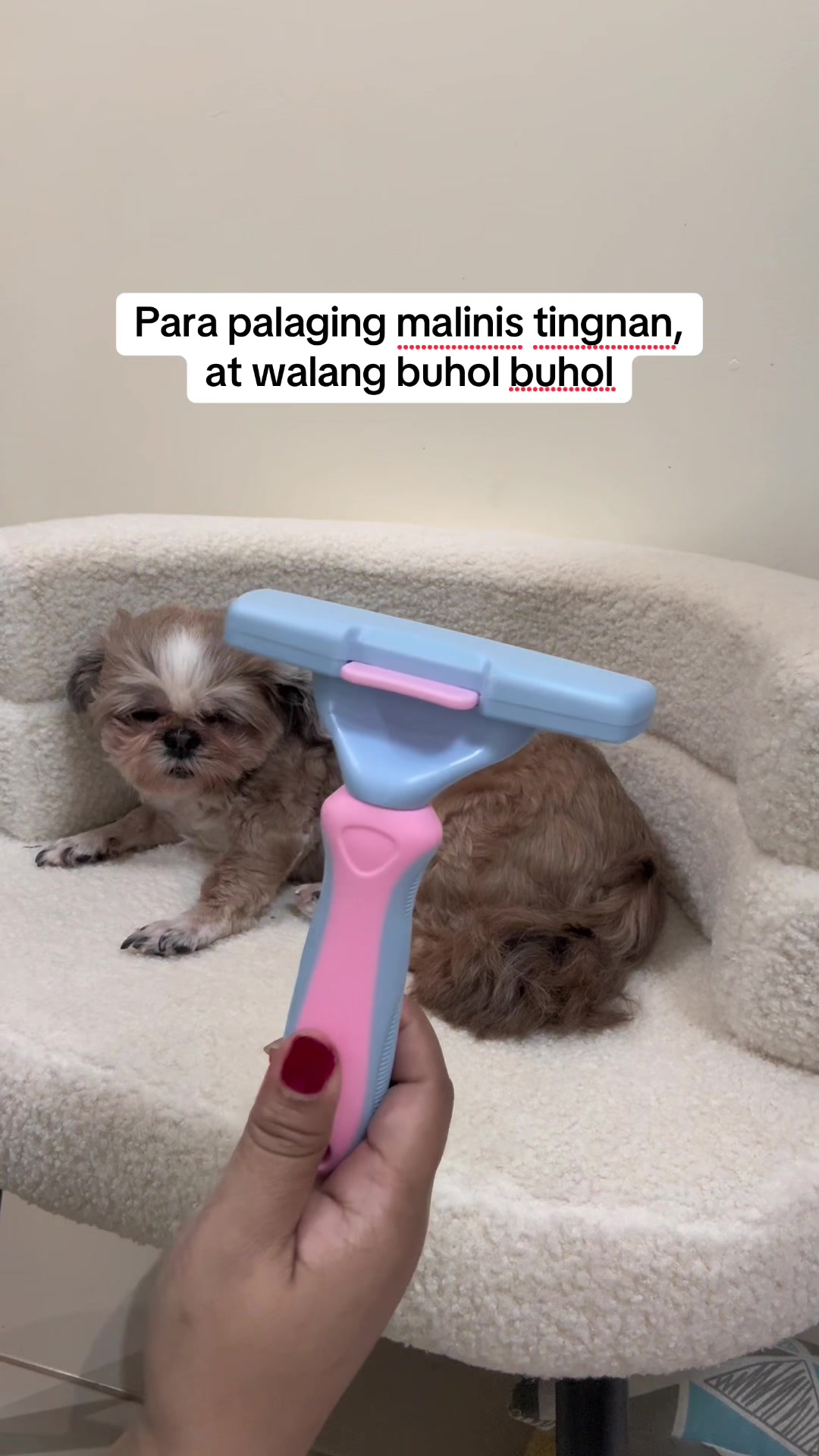 @Nella and Lucky the Shih🐶