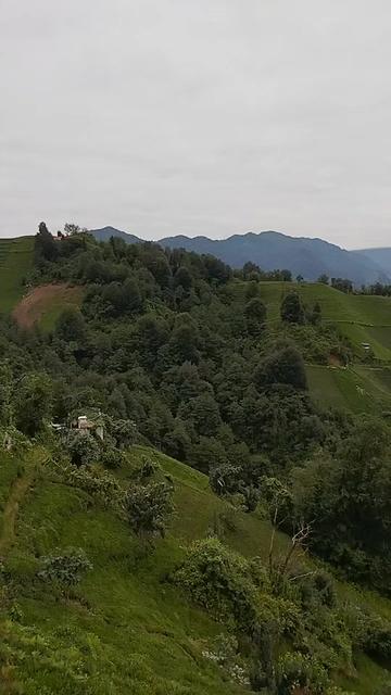 @Erdemce_Otizm