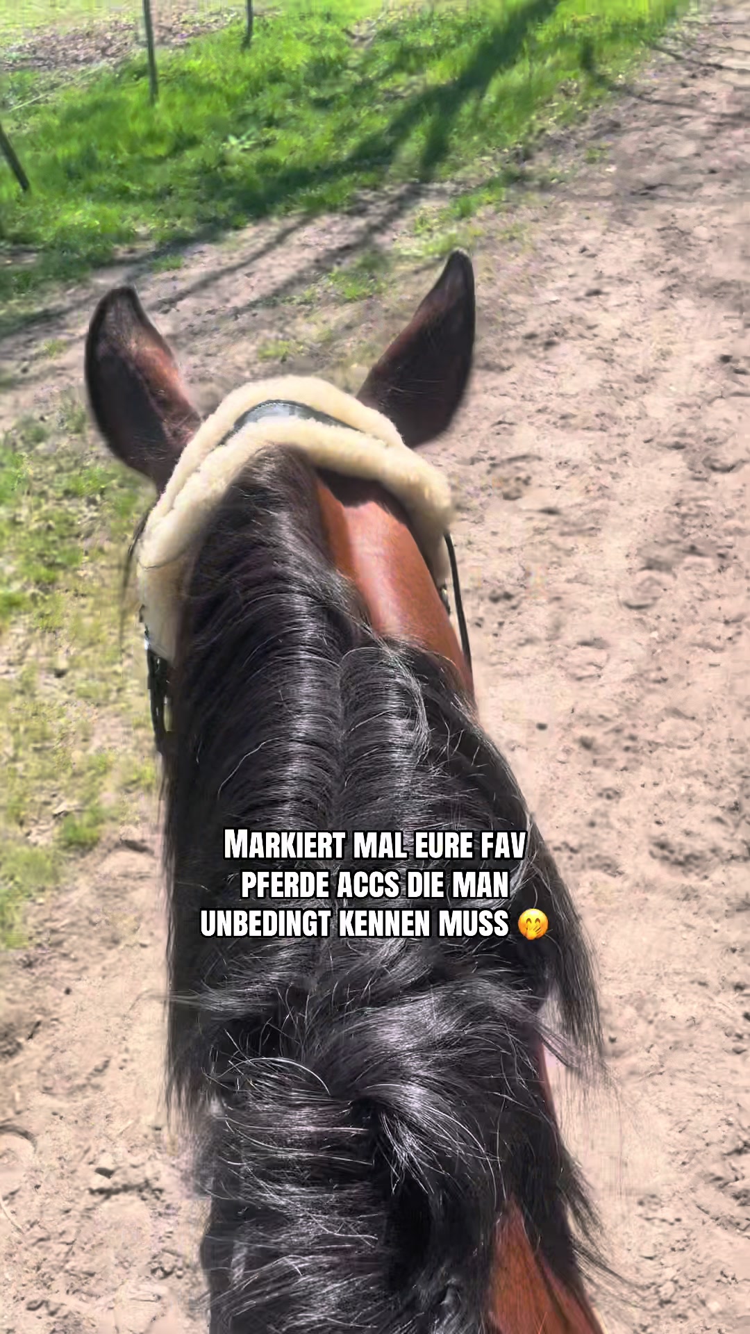 @lieblingstraber