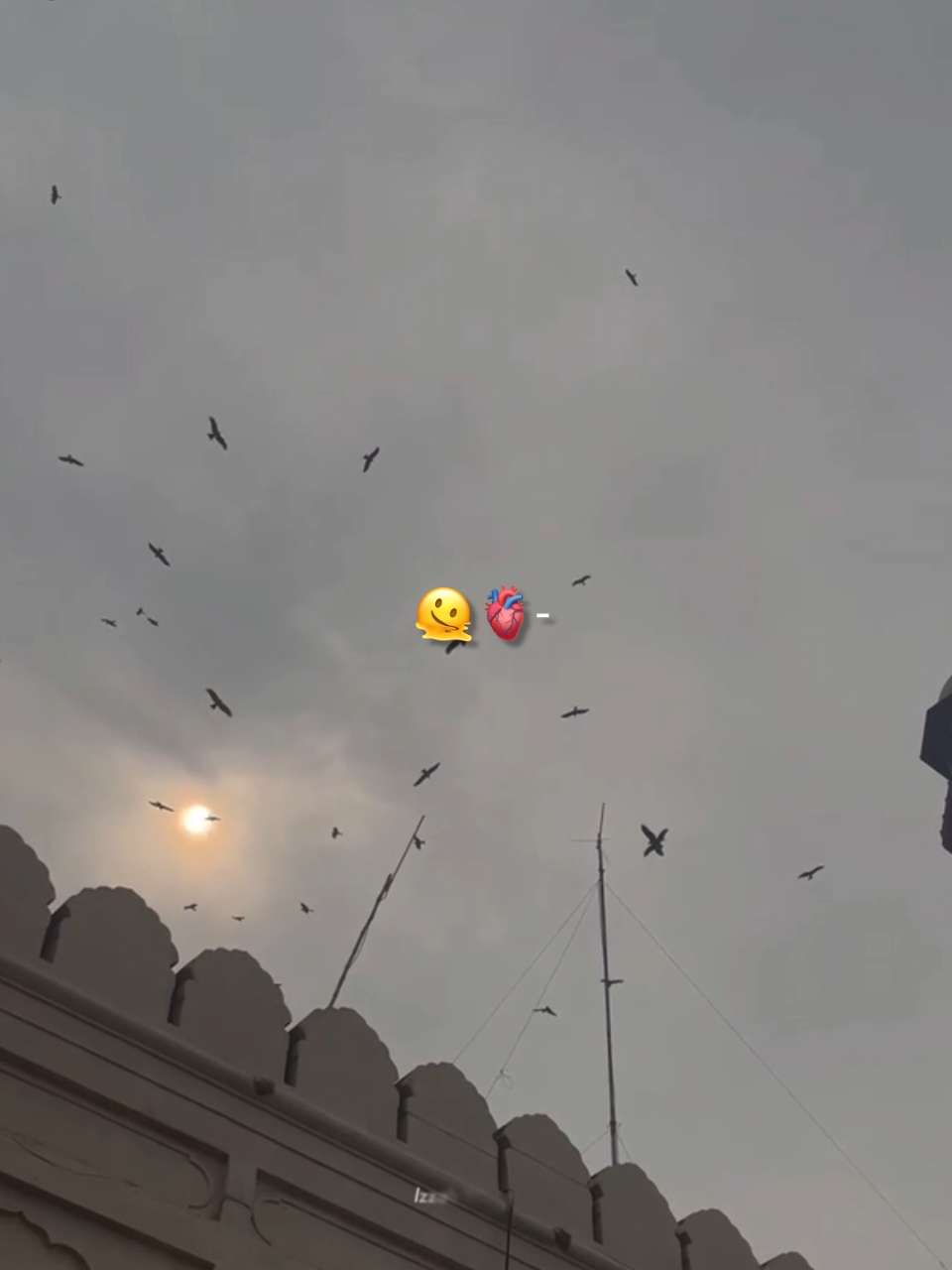 @𝙄 𝙕 𝙕 𝘼 𝙃 🕊️•