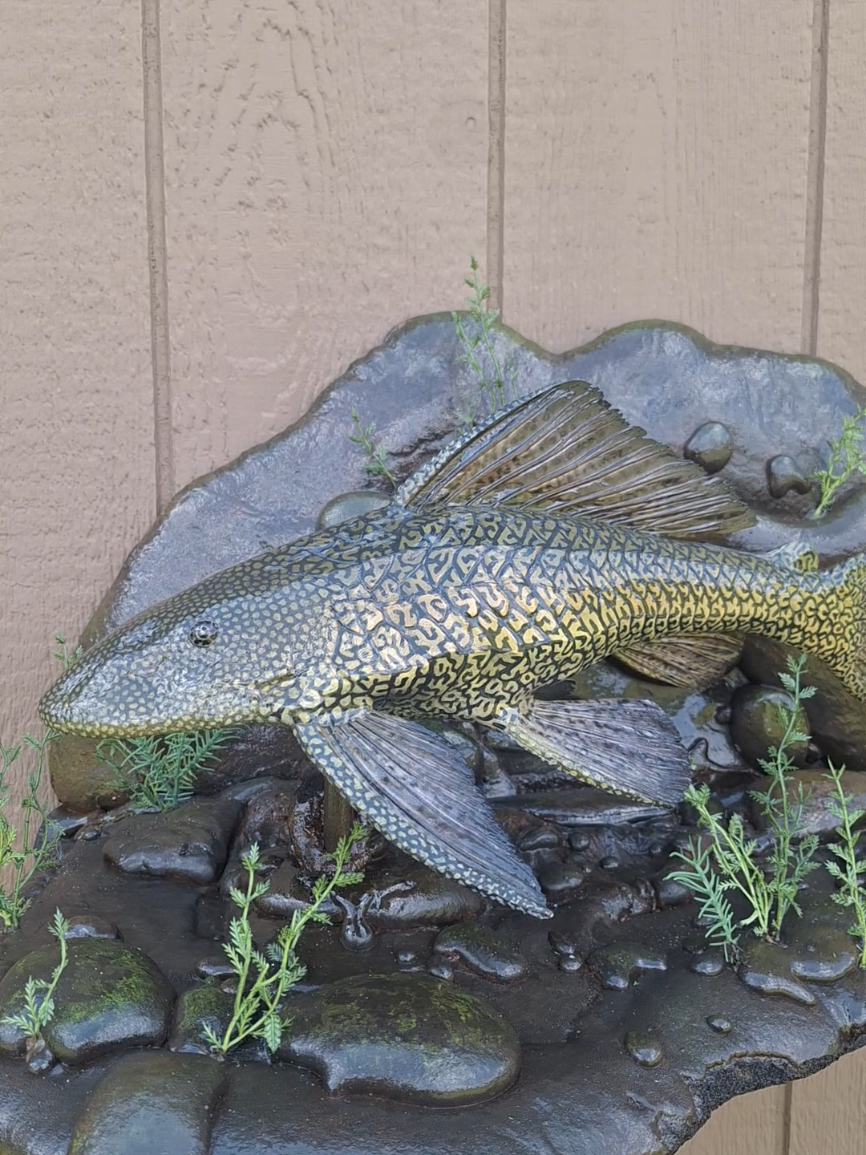 @SouthernScalesFishTaxi
