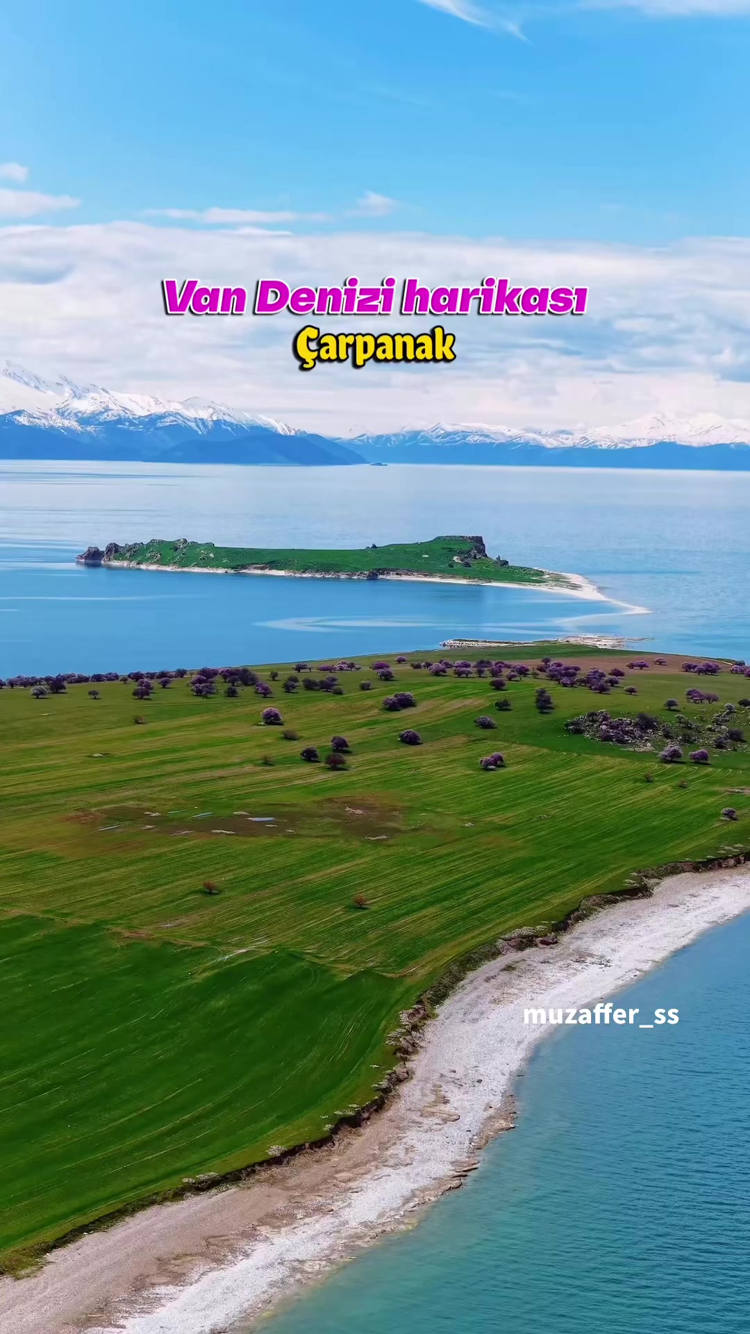 @Muzaffer Salcıoğlu