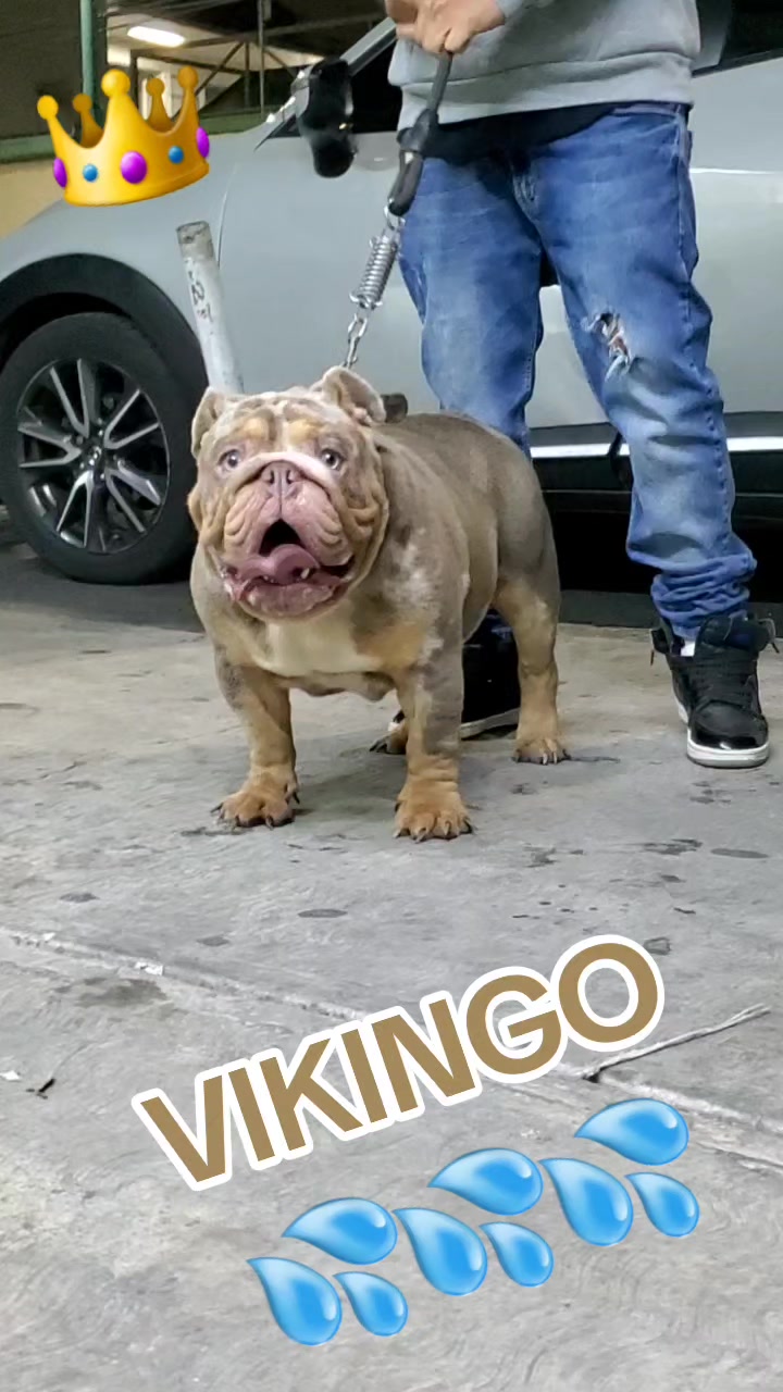@KrlozDZ