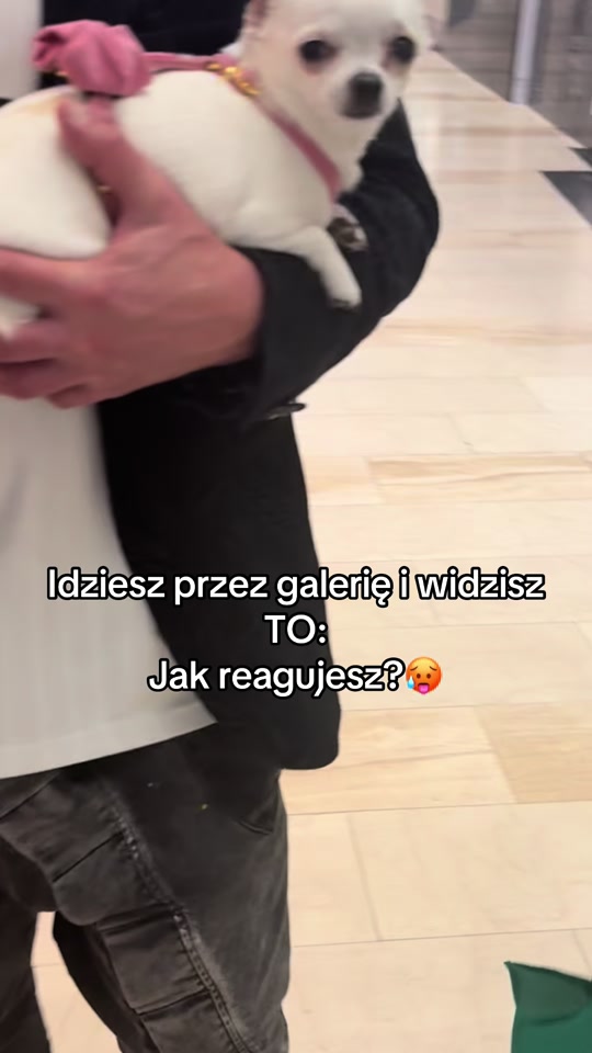 @Aga