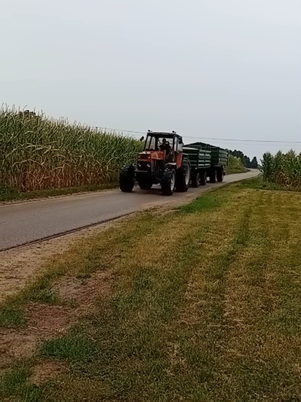 @grMazowieckie🚨🚜