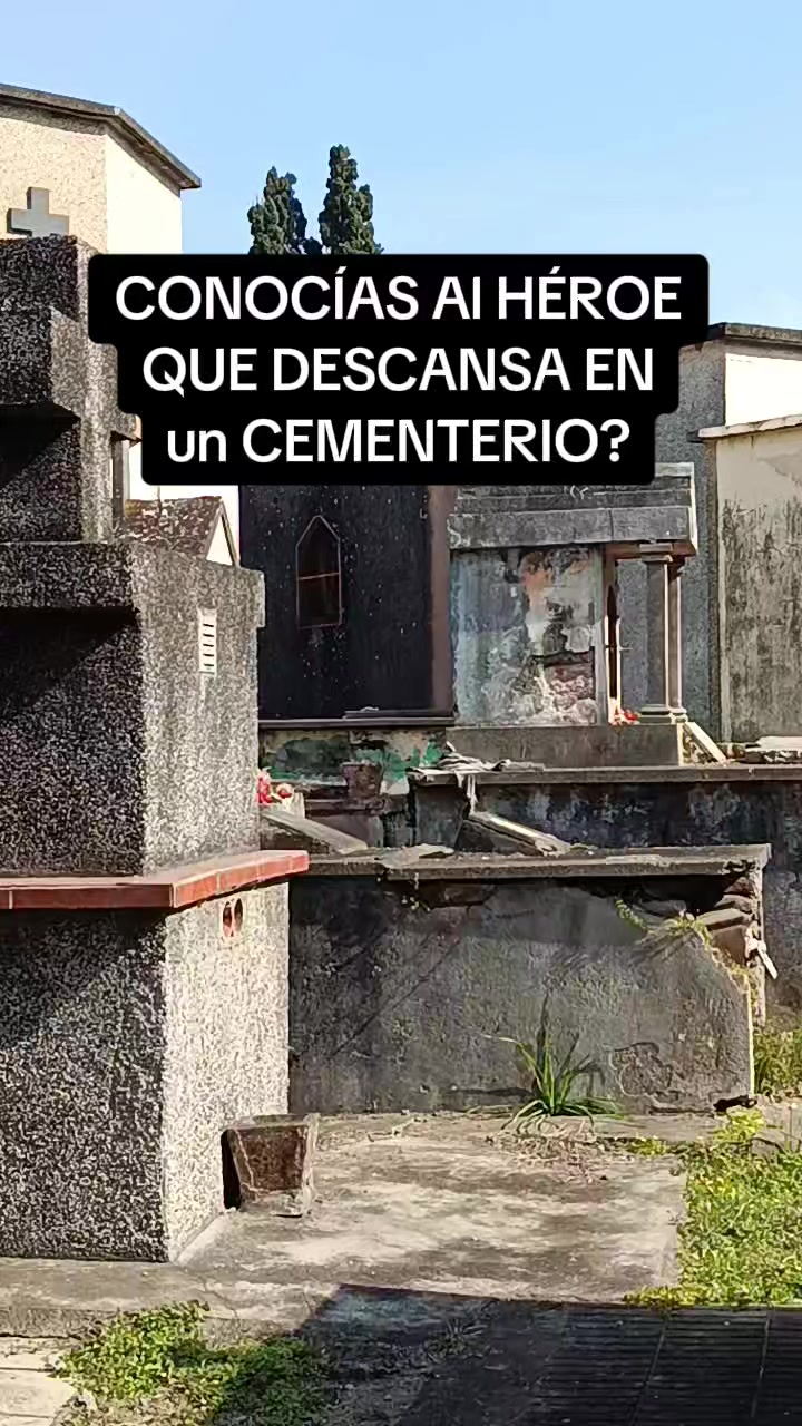 @Francisco José Ibañez ⭐️⭐️⭐️