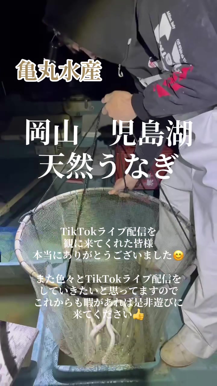 @亀丸水産社長🐢