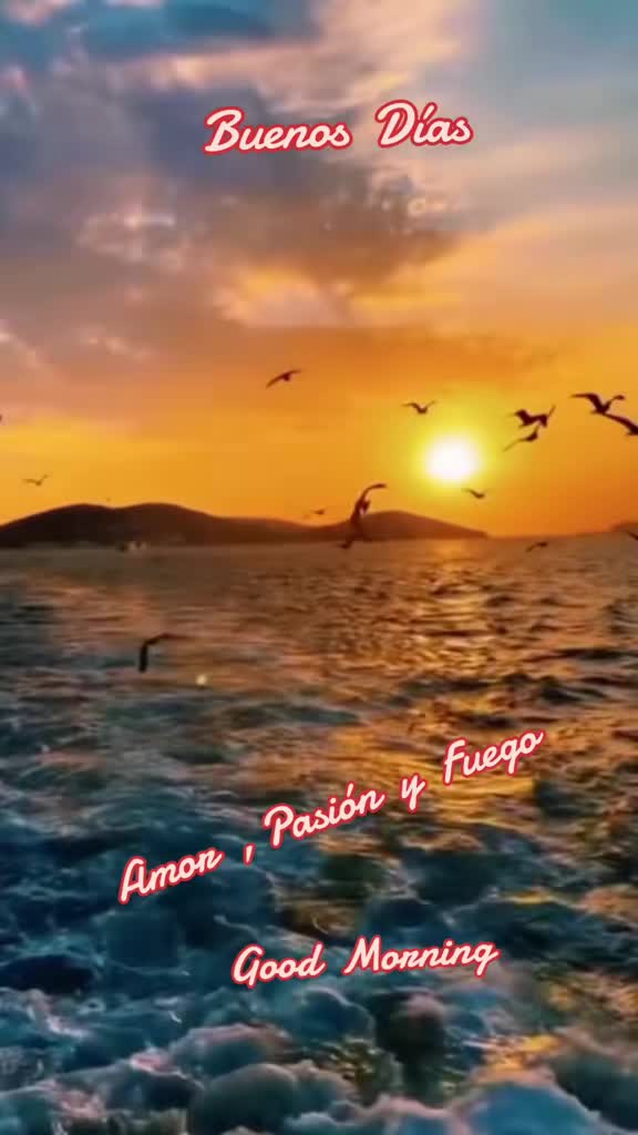 @Amor / Fuego y Pasi&oacute;n.
