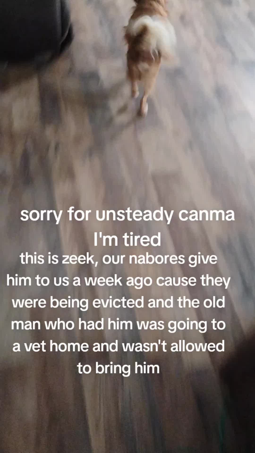 @DarkCrys