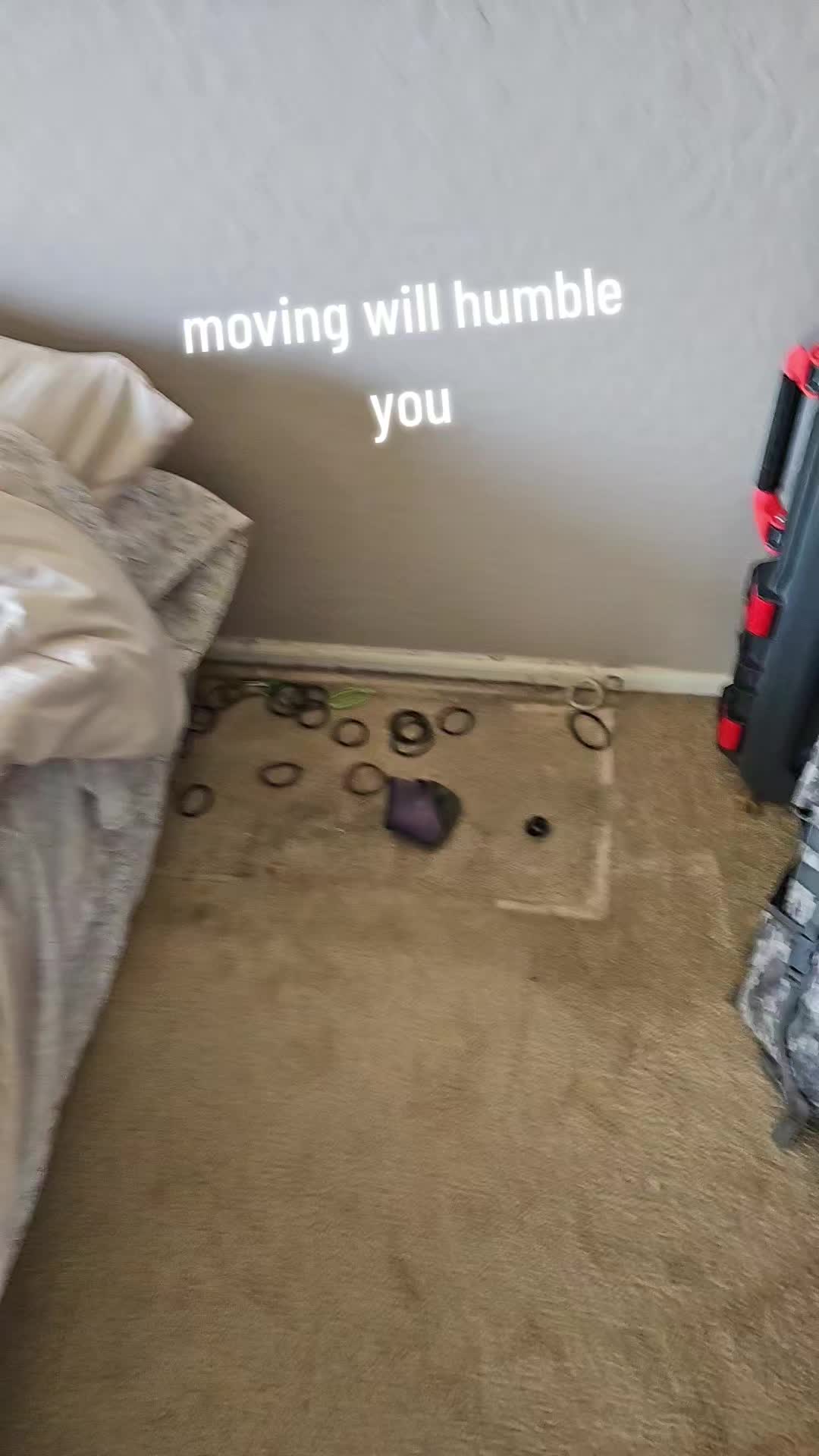 @Sαndie
