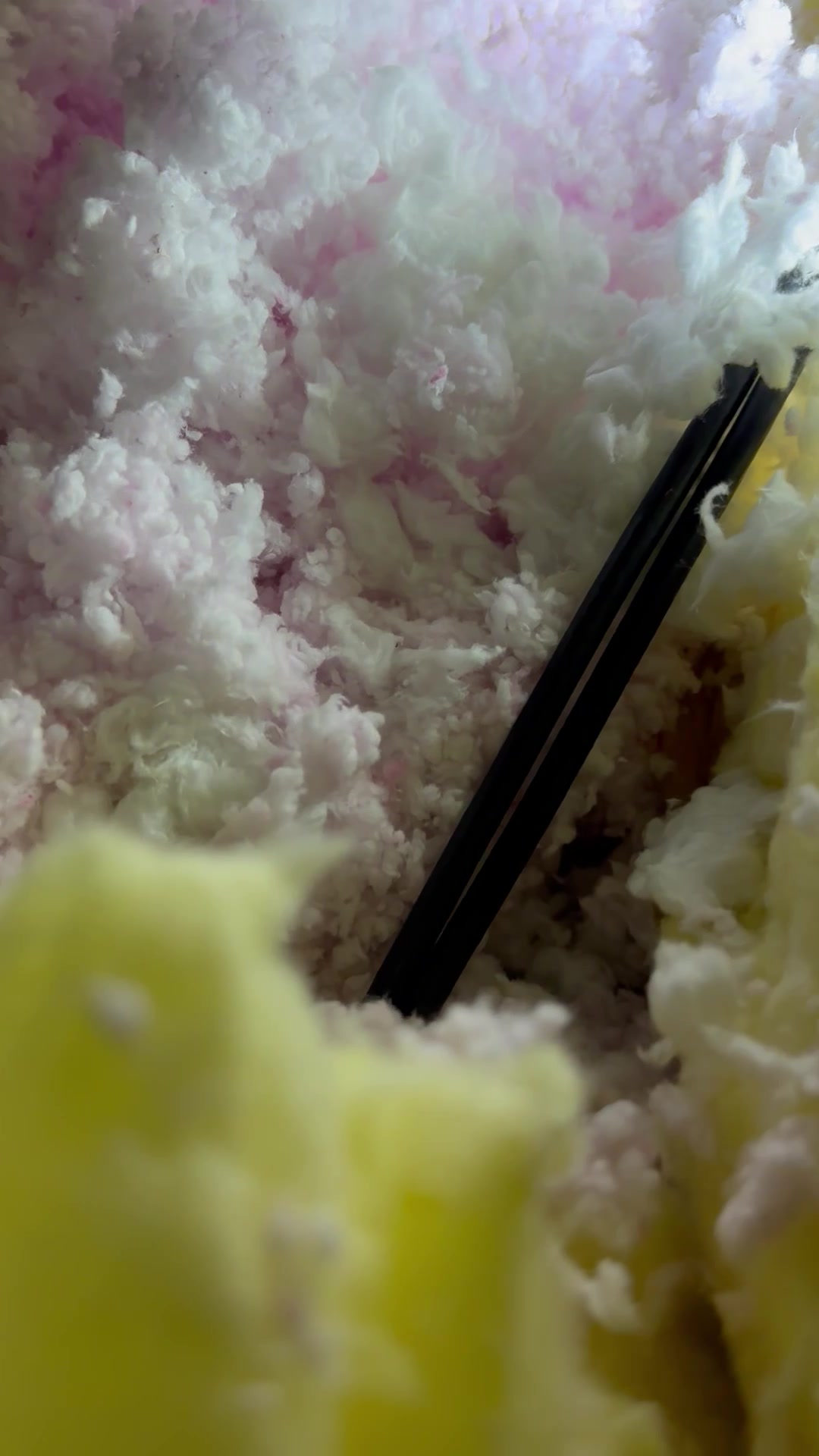 @disneyautismmom