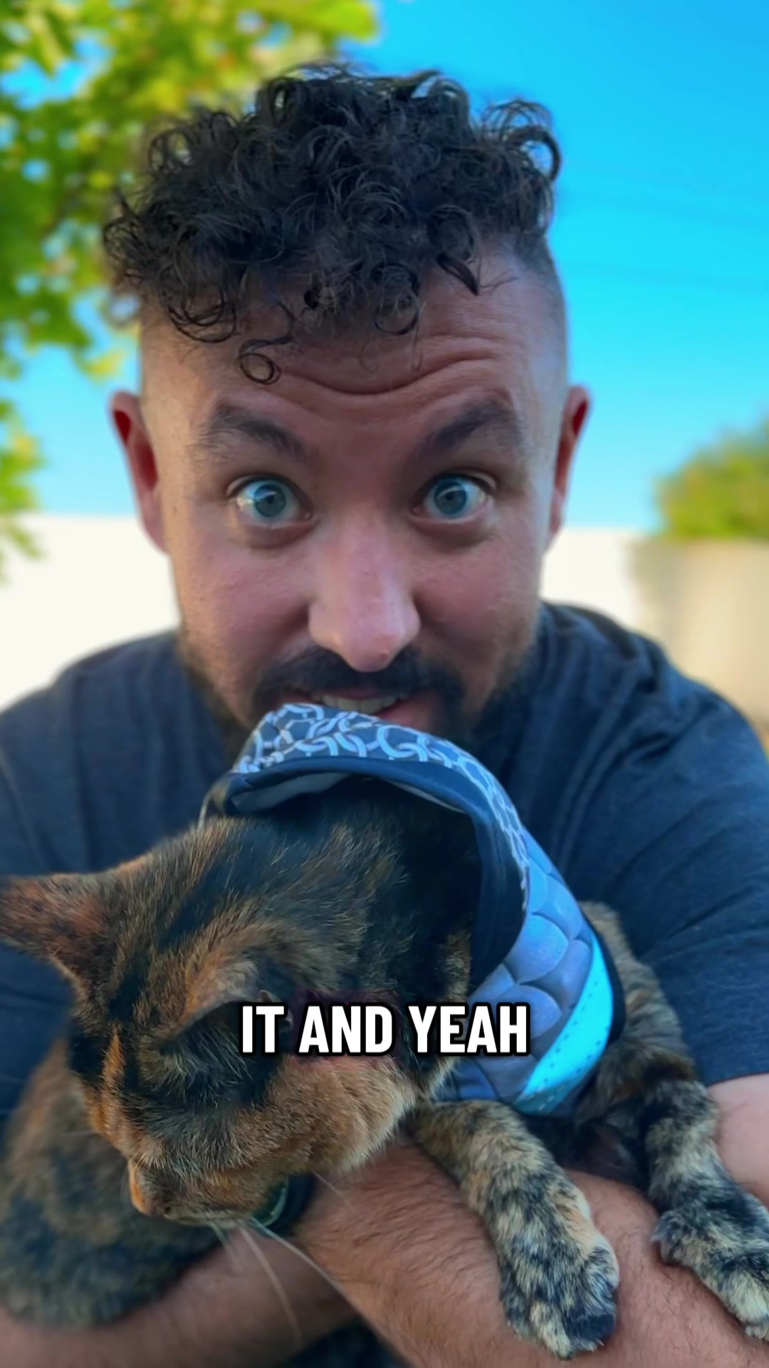 @Pet Armor | Arcane Armory