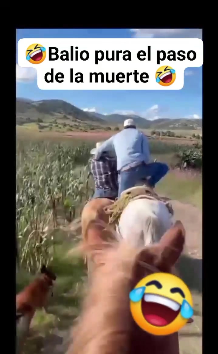 @User 011503