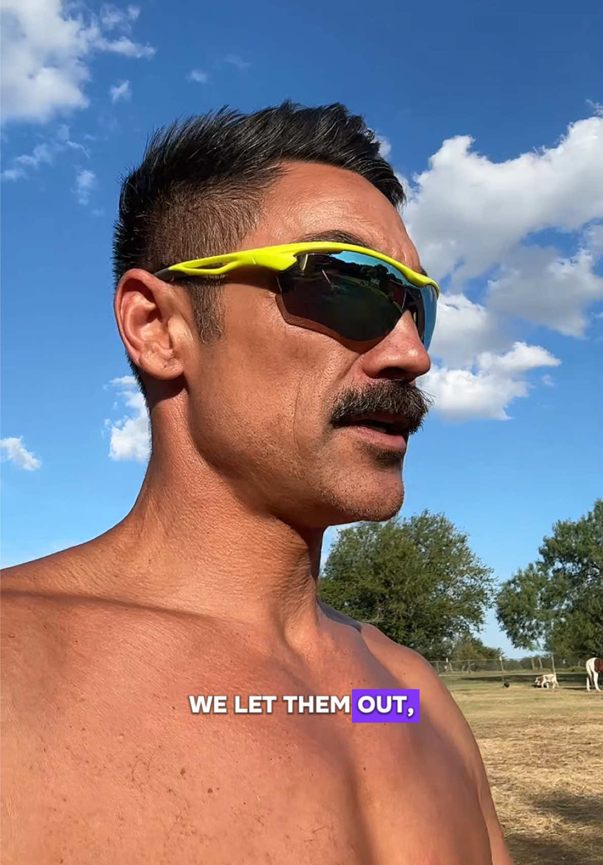 @The Gaysian cowboy