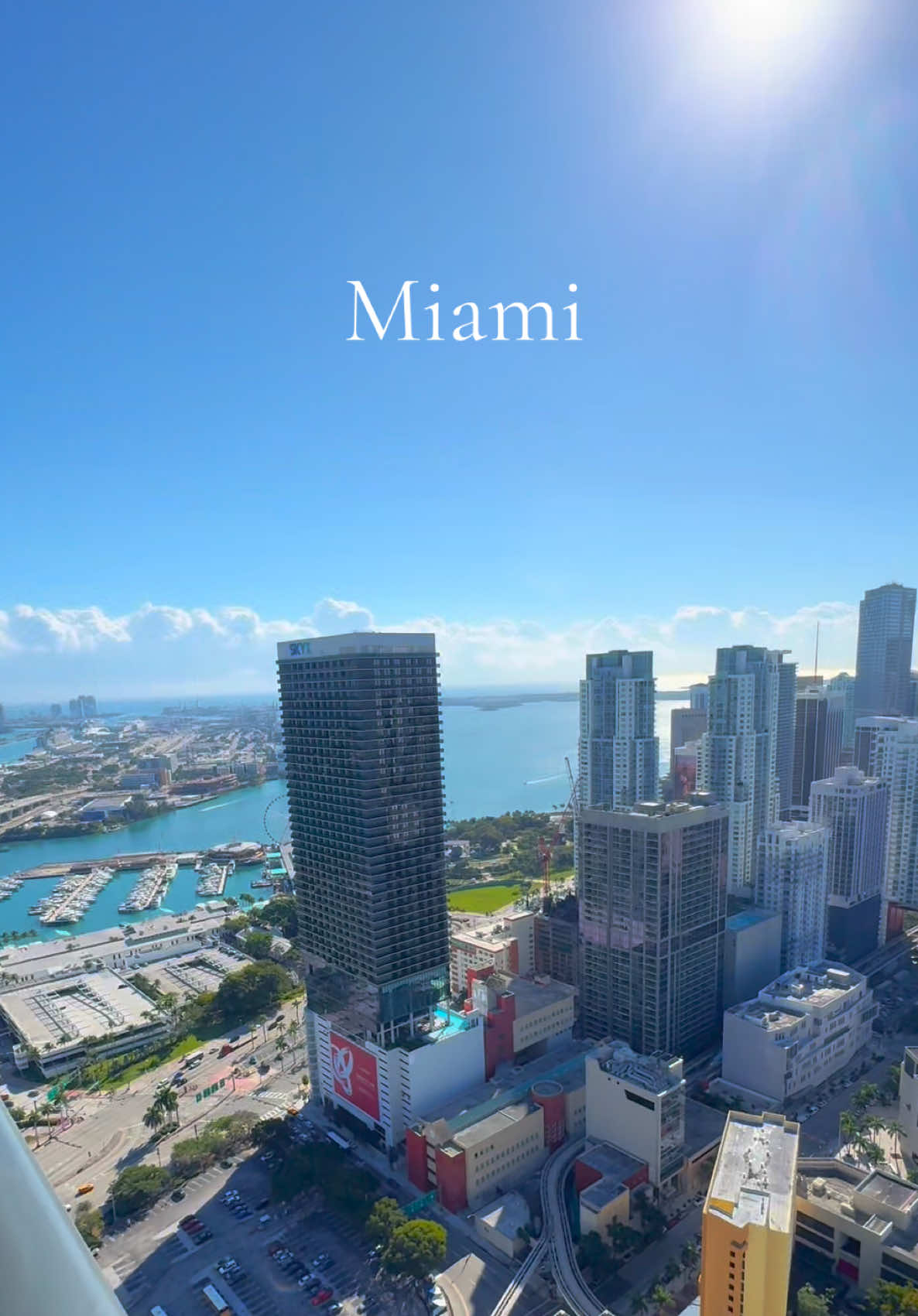 @Jose &bull; Miami Real Estate 🏝️