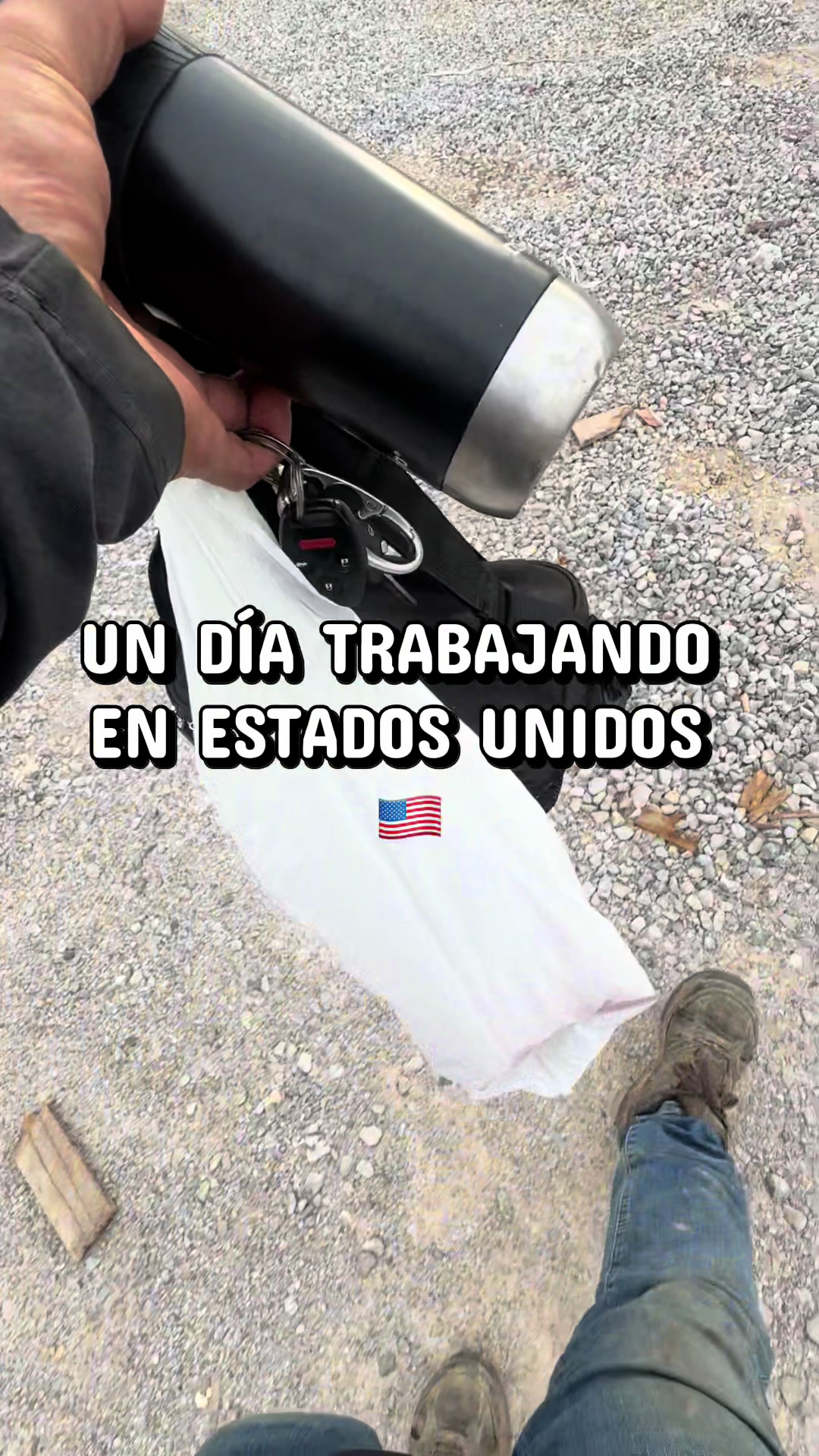 @T E O