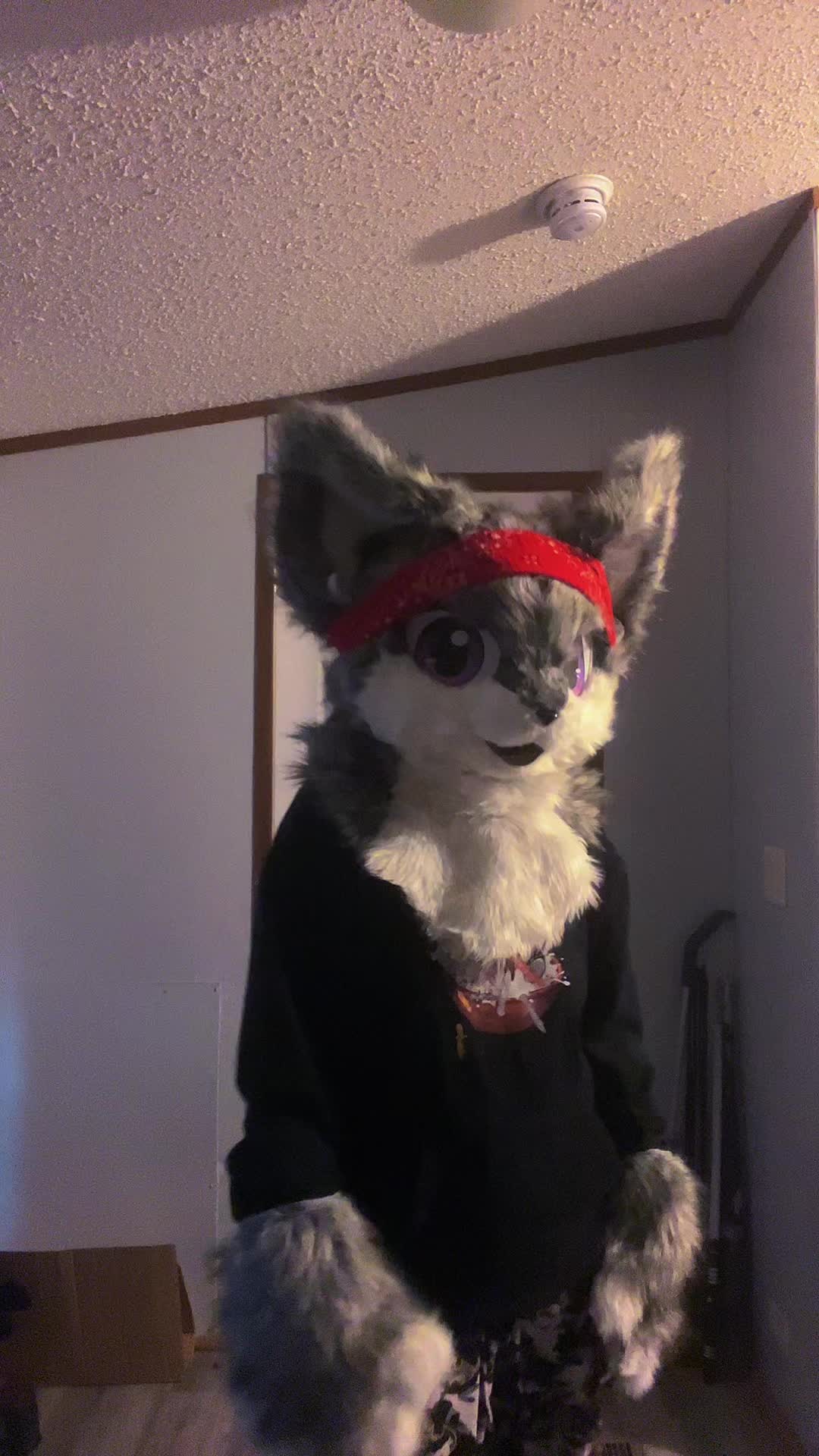 @karai_WolfDragon23
