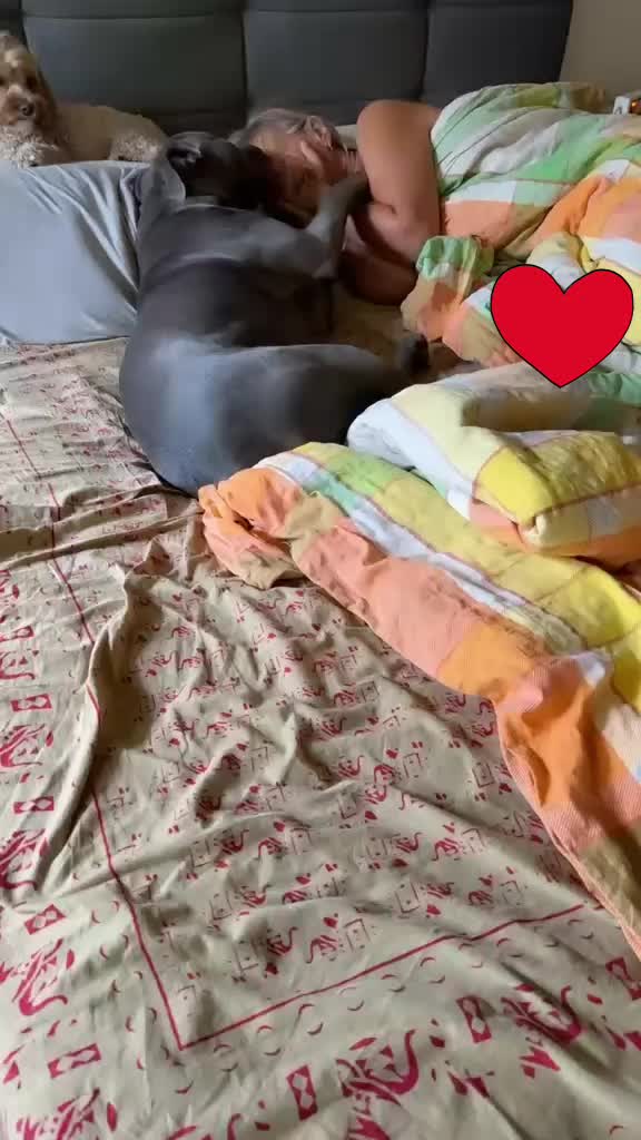@nishuemma